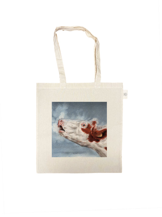 Cotton bag with print - Bear Football