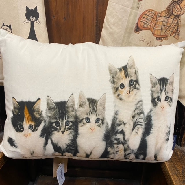 Kussen met katten - kitten print