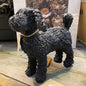 Beeld van Labradoodle (zwart en staand)