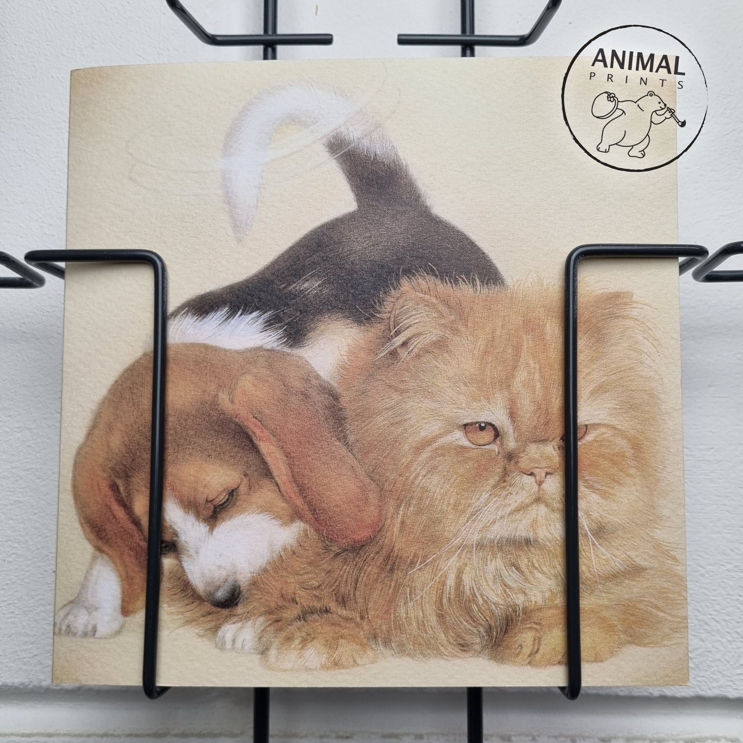 Square card - Beagle courting Persian