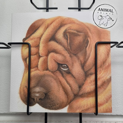 Vierkante kaart - Sorry, Sharpei heeft spijt (honden print)