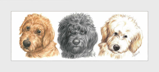 Reproduction "Labradoodles in a row".