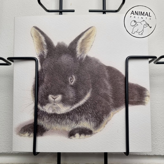 Square card - Bunnies are also very welcome