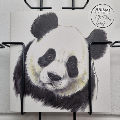 Square card - Look, you can talk to this Panda