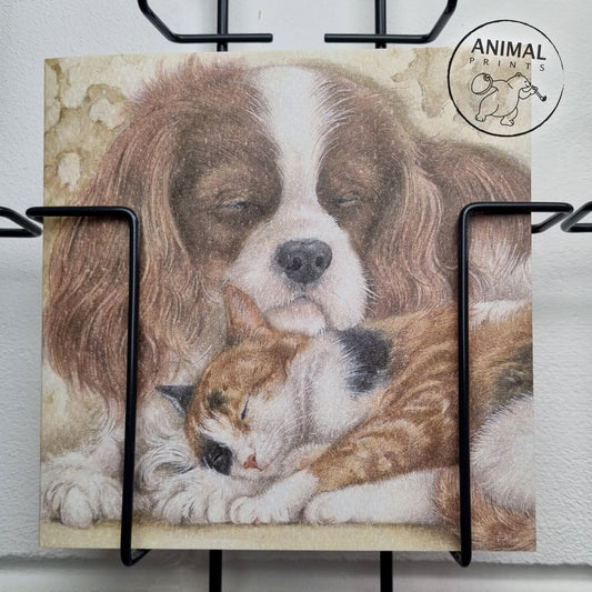 Vierkante kaart - Wie wil er niet zo'n heerlijk warm kussen (Cavalier King Charles Terrier, katten print)