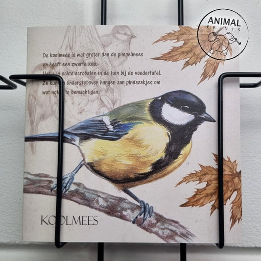 Square card - Great Tit