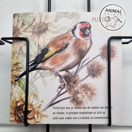 Square card - Goldfinch