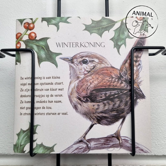 Square card - Wren