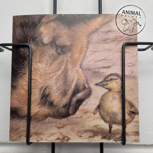 Square card - Pig &amp; Chick