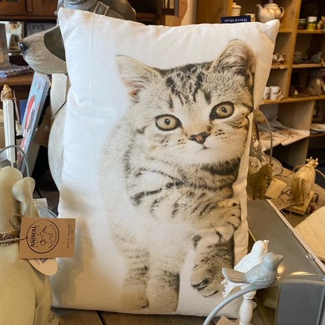 Kussen met katten - kitten print