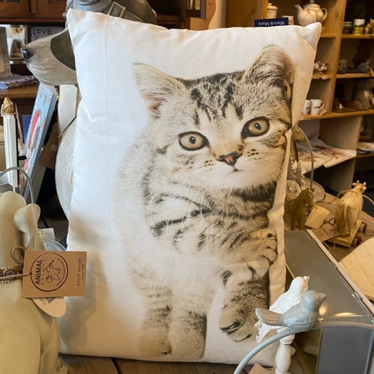 Kussen met katten - kitten print