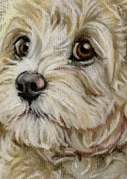 Kraftkaart A6 formaat (ansichtkaart) - kaart nummer 14 - Labradoodle (per 5 stuks)