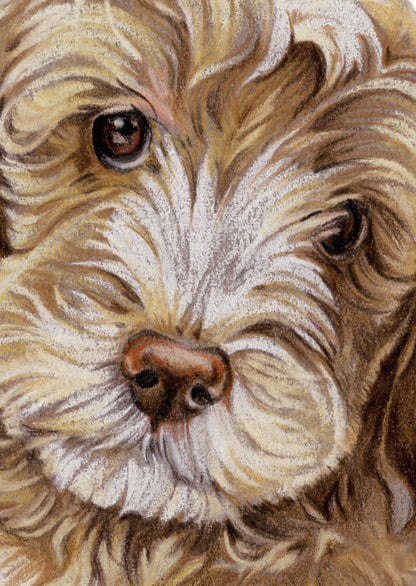 Kraftkaart A6 formaat (ansichtkaart) - kaart nummer 15- Labradoodle (per 5 stuks)