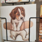 Square card - Plaster on Beagle - Get well soon