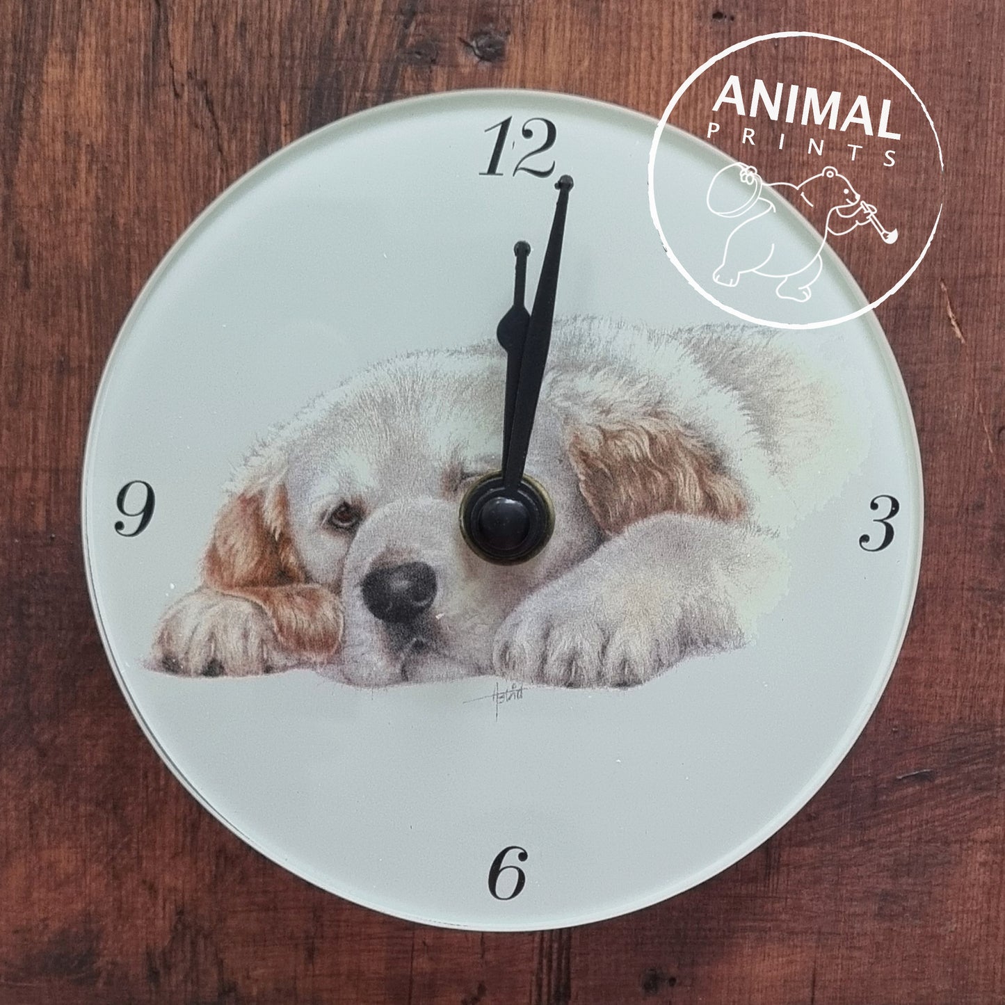 Clock Reclining Golden Retriever