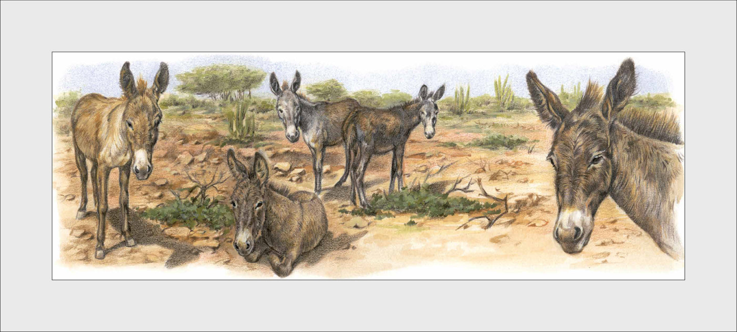 Reproduction "Donkeys on Bonaire".