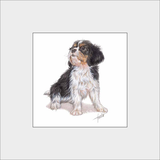 Reproduction "Cavalier King Charles Terrier".