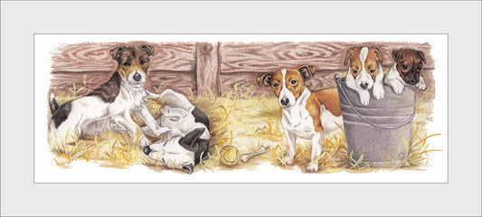 Reproduction "Jack Russell Terrier collage".