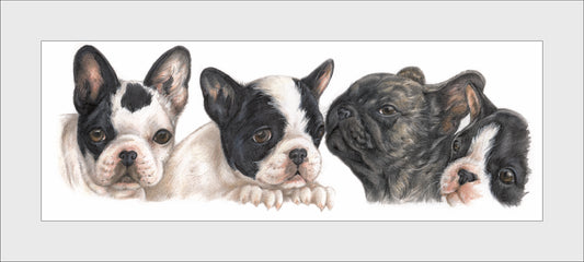 Reproduction "French Bulldog puppies".