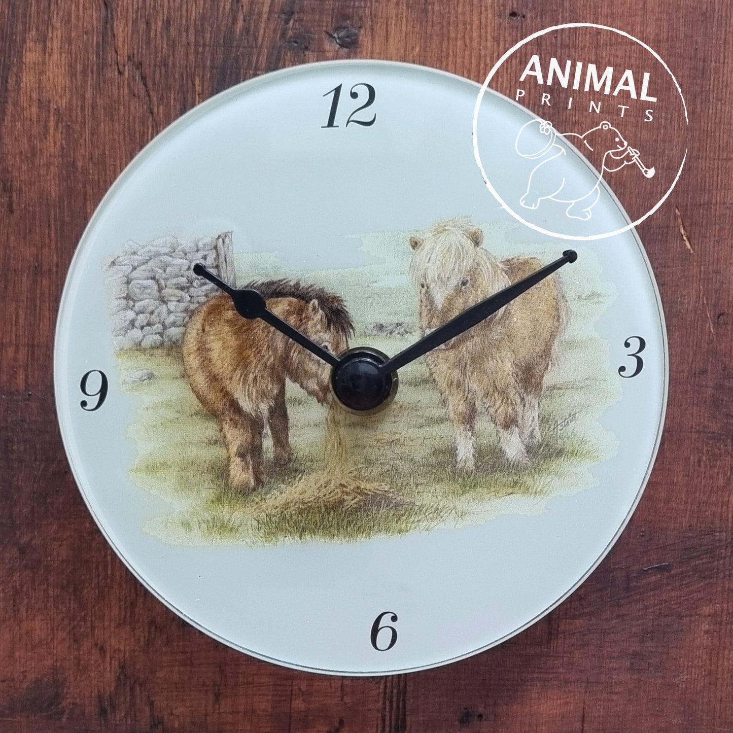 Clock Shetlanders