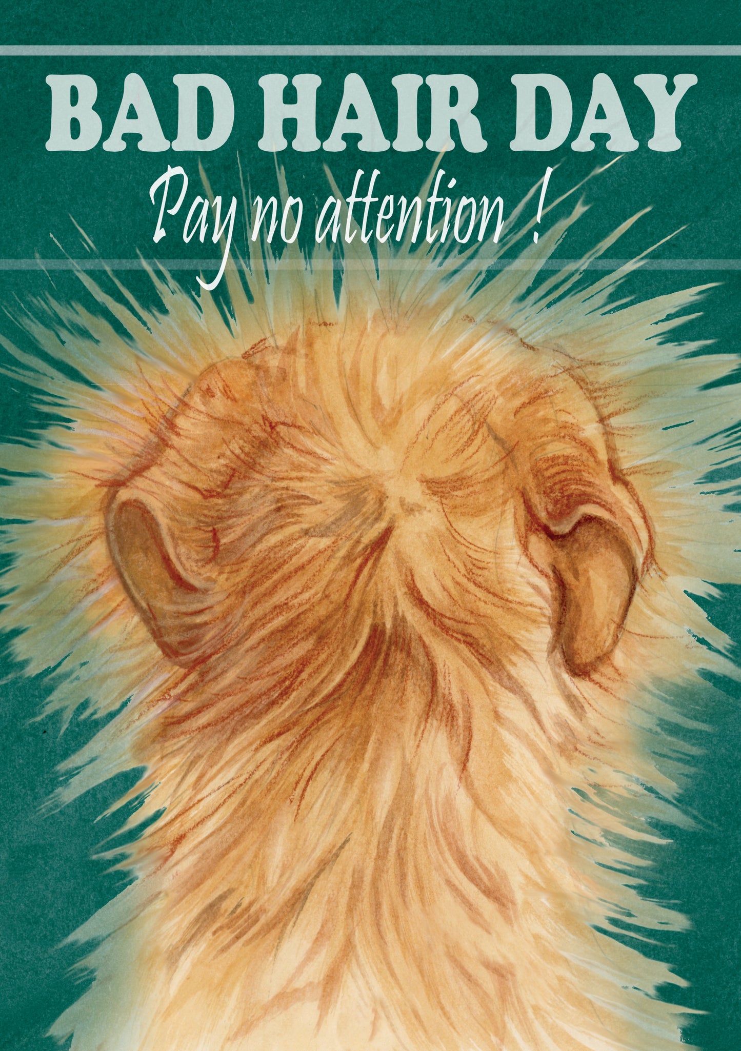 T-shirt "Bad Hair Day - "Pay no attention".