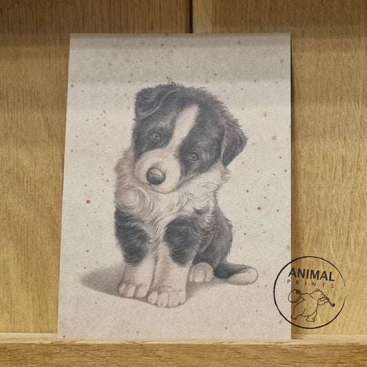 Kraftkaart A6 formaat (ansichtkaart) - kaart nummer 1 - Border Collie (per 5 stuks)