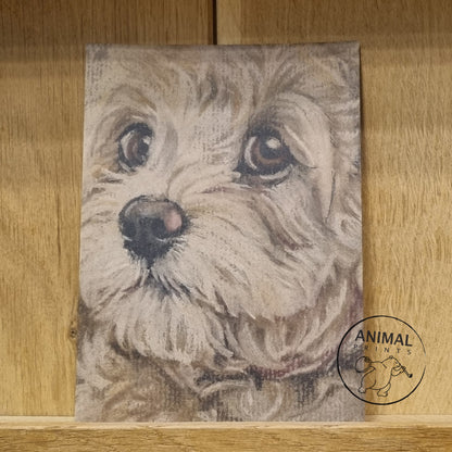 Kraftkaart A6 formaat (ansichtkaart) - kaart nummer 14 - Labradoodle (per 5 stuks)