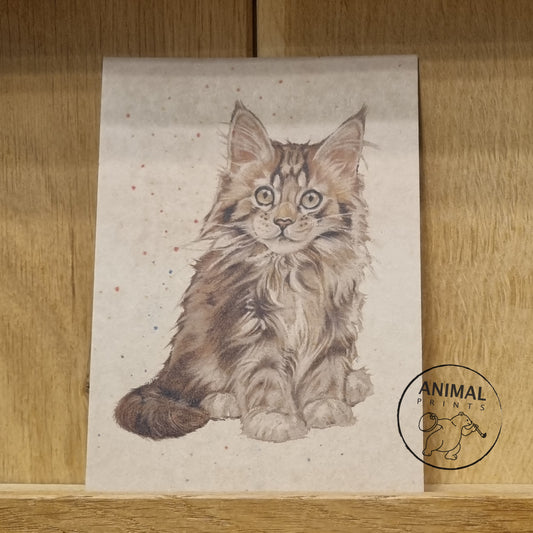 Kraftkaart A6 formaat (ansichtkaart) - kaart nummer 6 - Maine Coon