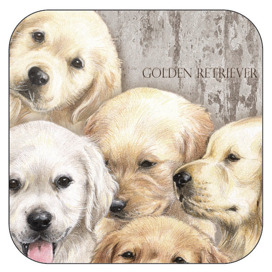 Coaster per 3 pieces Golden Retriever puppies per 3 pieces