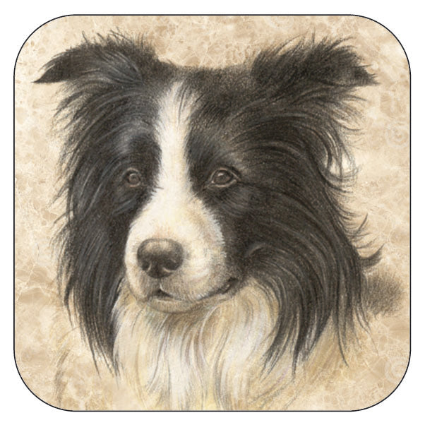 Onderzetter per 3 stuks Border Collie