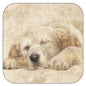 Coaster per 3 pieces Sleeping Golden Retriever