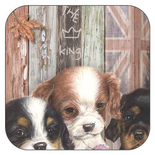 Coaster per 3 pieces Cavalier King Charles Terrier