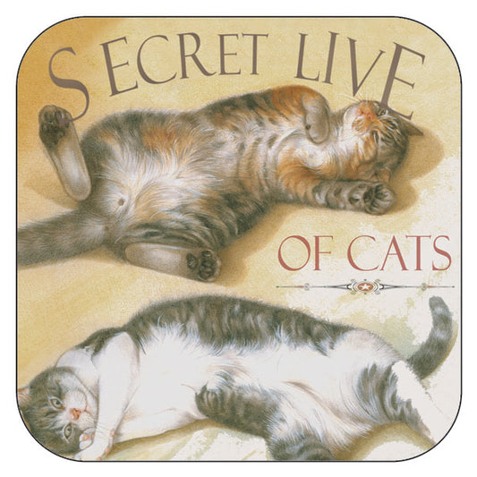 Onderzetter per 3 stuks Secret Live of Cats 3