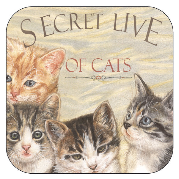 Untersetzer pro 3 Stück Secret Live of Cats 4