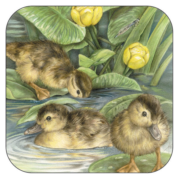 Coaster per 3 pieces Young Ducklings