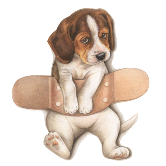 Square card - Plaster on Beagle - Get well soon