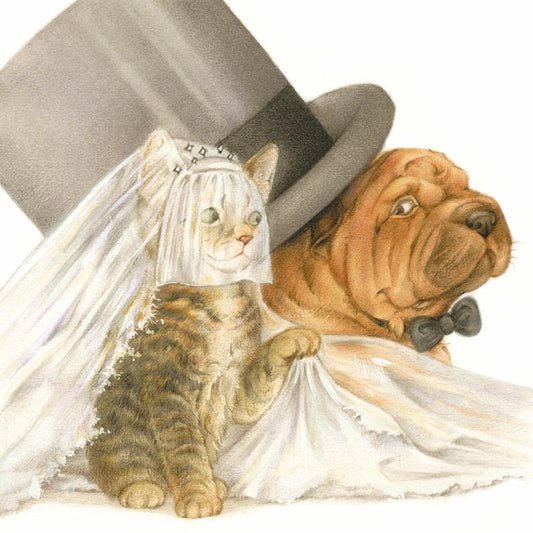 Square card - Marriage, Cat and Sharpei take the gamble