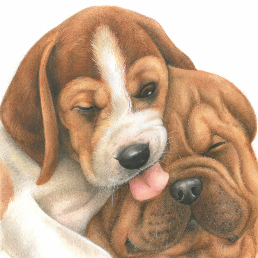 Vierkante kaart - Vriendschap, Beagle met Sharpei