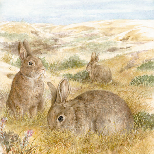 Square card - Mealtime for the Rabbit family