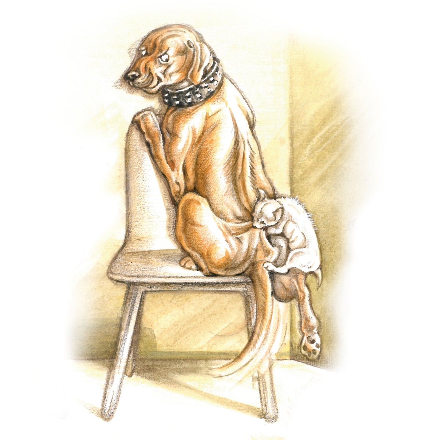 Vierkante kaart - Wachtkamer emotie; hond met bijtwond door Chihuahua