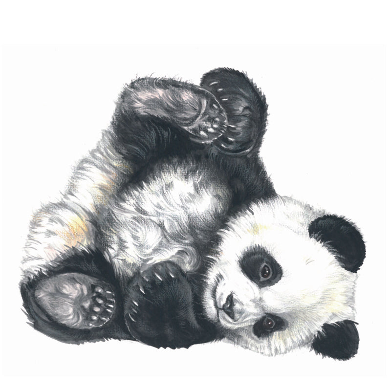Quadratische Karte - Wer liebt den faulen Panda nicht?