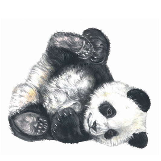 Square Card - Who doesn't love lazy Panda?