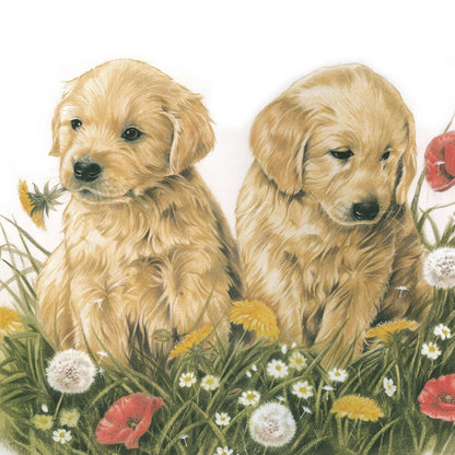 Square card - Putting the flowers outside together. Golden Retriever puppies in the grass