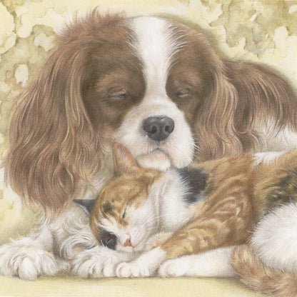 Vierkante kaart - Wie wil er niet zo'n heerlijk warm kussen (Cavalier King Charles Terrier, katten print)