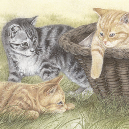 Vierkante kaart - .Altijd wel zin in een spelletje. Kittens in de buitenlucht. (katten print)