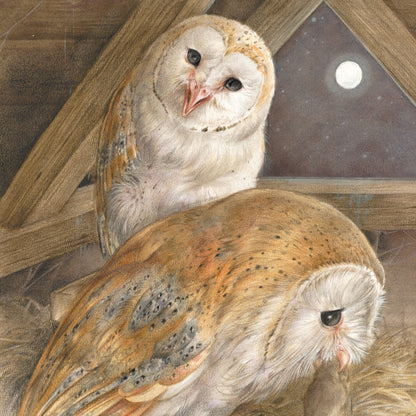 Square card - Barn owls always remain a special appearance