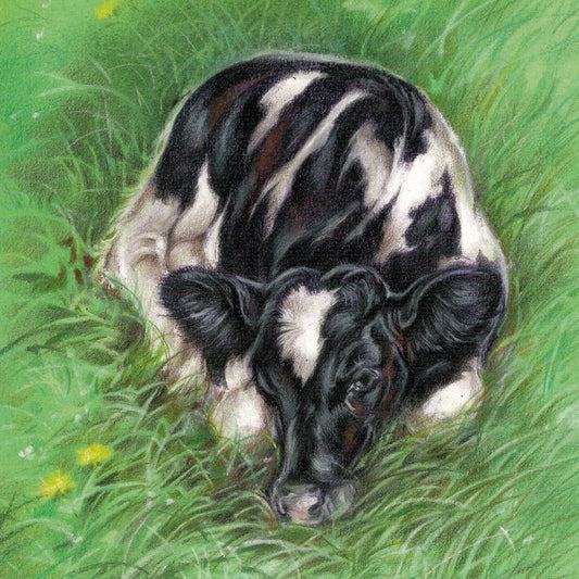 Square card - Calf in the pasture