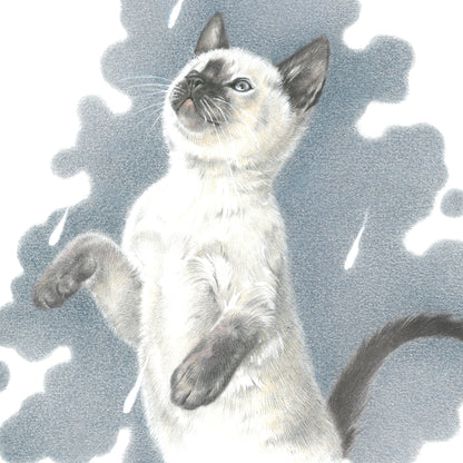 Square card - It's Raining Cat's - Ragdoll