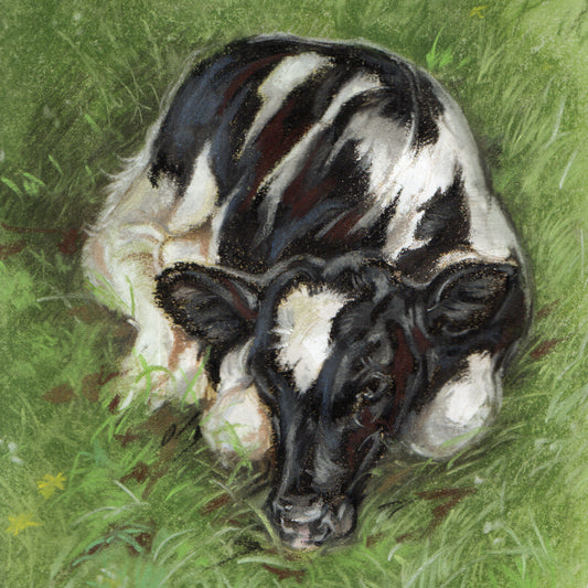 Square card - No cow is so fur or there are spots on it..