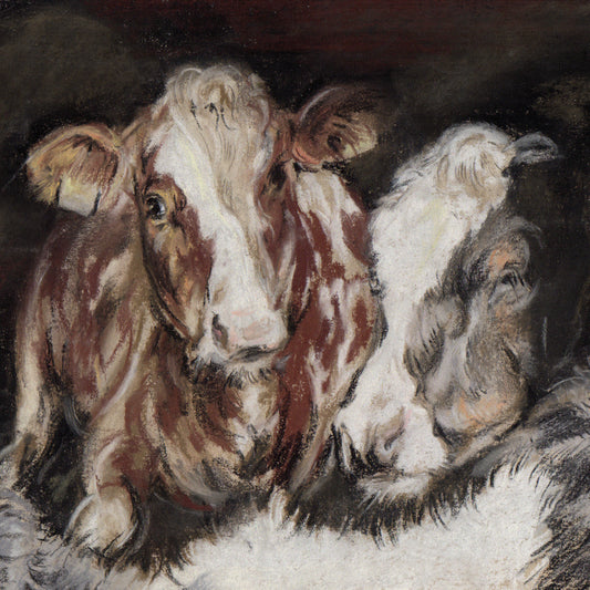 Vierkante kaart - Twee koeien - Kalverliefde